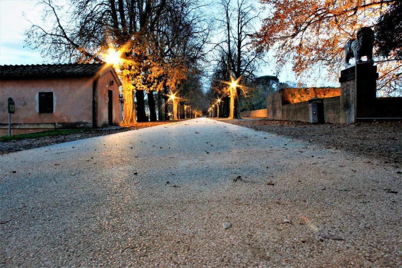 Finca Del Sol Lucca Bagian luar foto