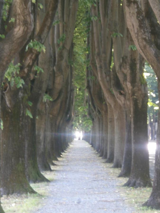 Finca Del Sol Lucca Bagian luar foto